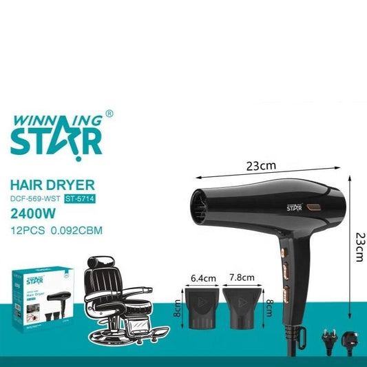 Professional High Speed Salon Hair Dryer  Winning Star ST-5714