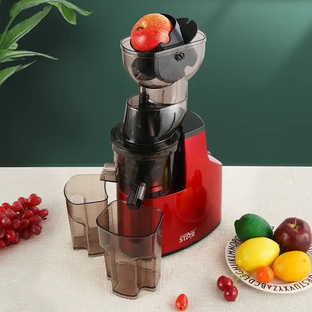 Electric Juice Extractor Winning Star ST-1000