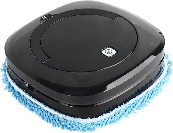 Mopping & Sweeping Robot